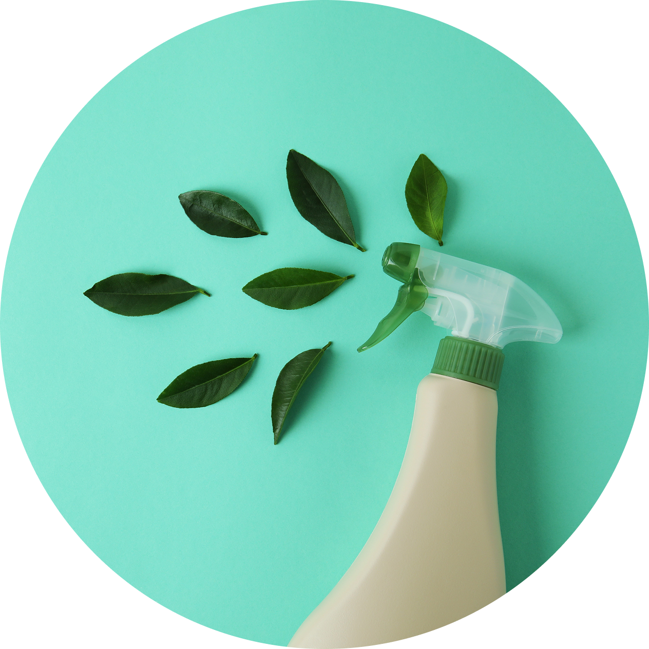 Rectangle 486 (4).png